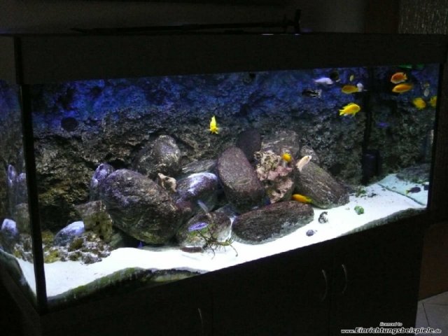 desvziakvriumhttrfreshwaterrocky2.jpg