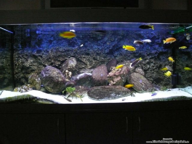 desvziakvriumhttrfreshwaterrocky4.jpg