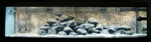 slimrockmodul4.jpg