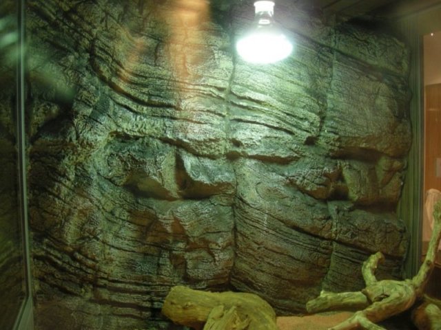 tectonic11.jpg