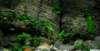 tectonic15_small.jpg