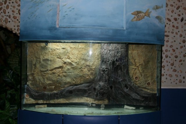 tusks16.jpg